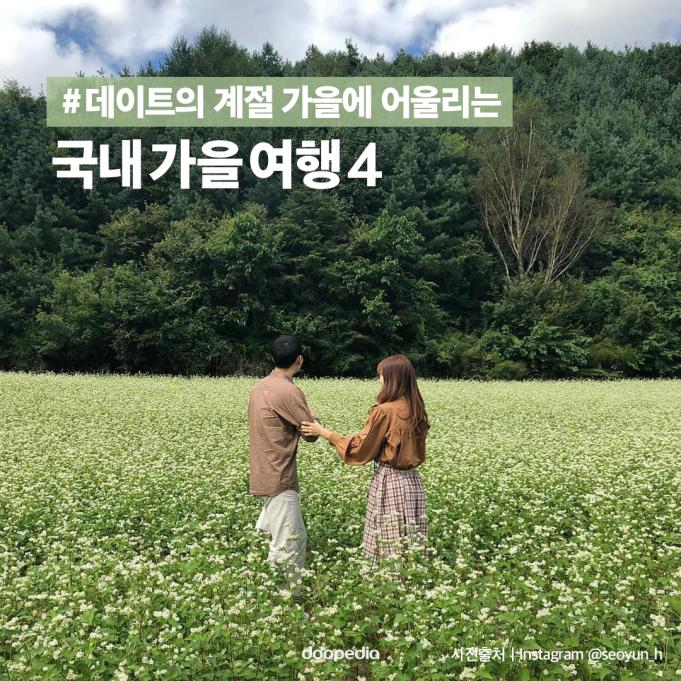 #데이트의 계절 가을에 어울리는

국내가을여행4

(사진 출처｜인스타그램&nbsp;@seoyun_h)
