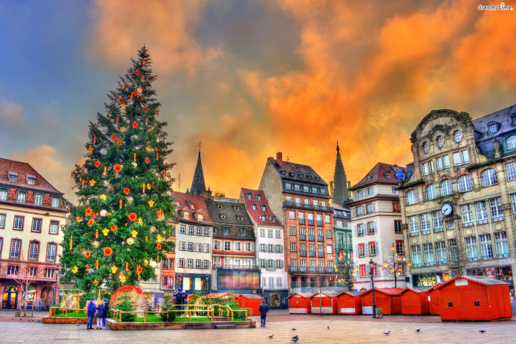 ▲클레베레 광장을 밝히는 30m 높이의&nbsp;거대한 트리.

스트라스부르 크리스마스 마켓의 상징이라 할 수 있다.
