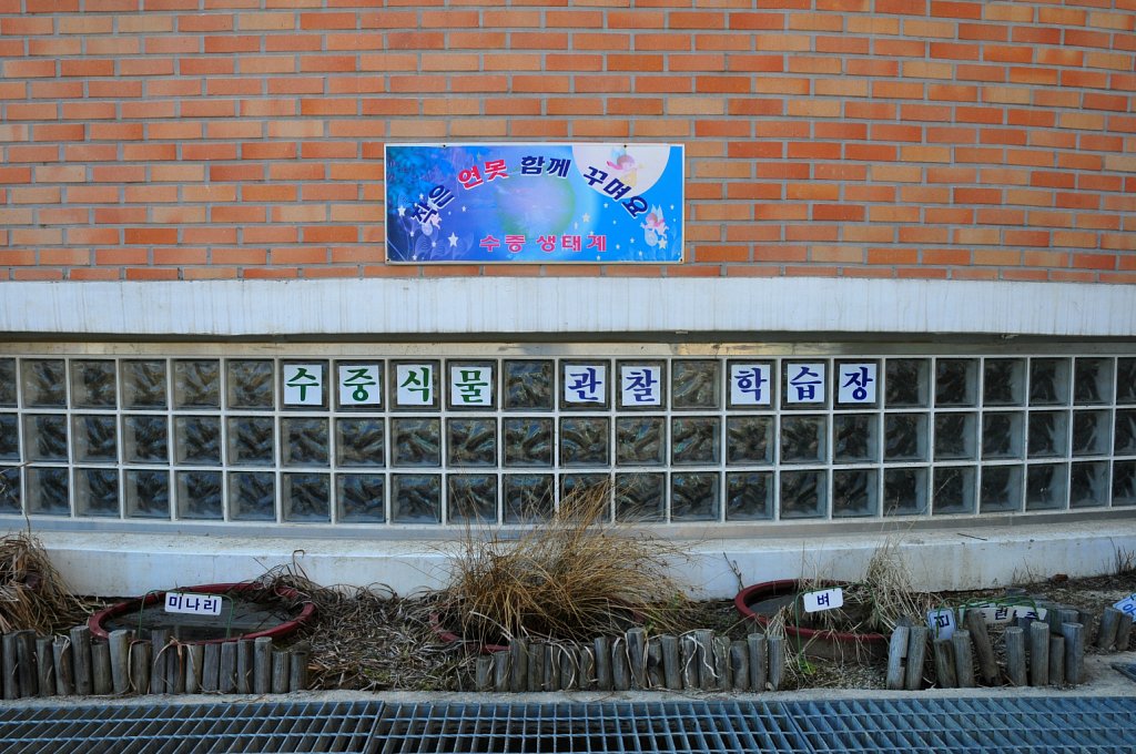 충주 금릉 초등학교
