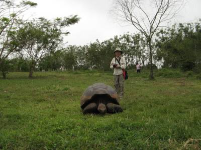 갈라파고스 제도 Galapagos Islands | Ecuador 에콰도르 | 두피디아 포토커뮤니티