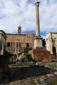 로마의 포룸