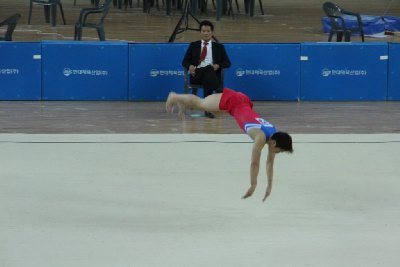 제 94회 전국체전 남자 마루운동 결승 정재민 선수 19