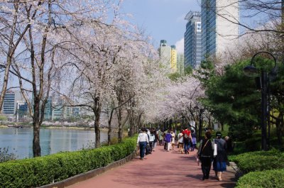 송파나루공원 봄풍경 01