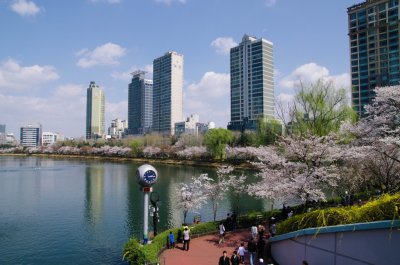 송파나루공원 봄풍경 12