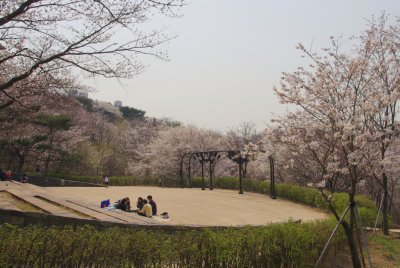연희숲속쉼터 잔디마당의 봄 풍경 15