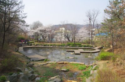 연희숲속쉼터 안산방죽의 봄 풍경 10