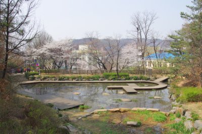 연희숲속쉼터 안산방죽의 봄 풍경 11