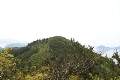 봉화산 등산로 19
