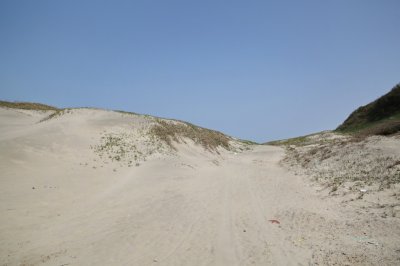 성촌해변 모래언덕 02