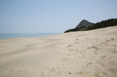 성촌해변 모래언덕 07