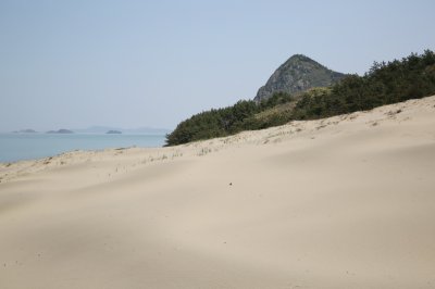 성촌해변 모래언덕 08