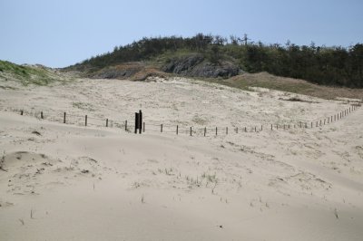 성촌해변 모래언덕 09