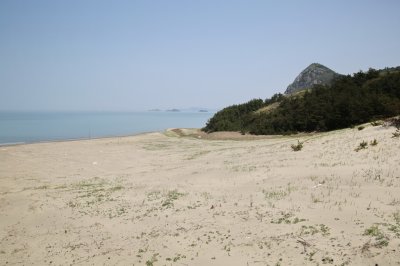 성촌해변 모래언덕 10