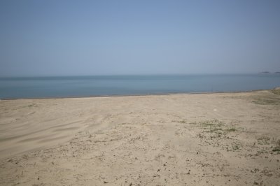 성촌해변 모래언덕 11