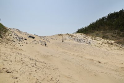 성촌해변 모래언덕 12