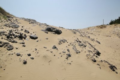 성촌해변 모래언덕 13