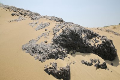 성촌해변 모래언덕 14