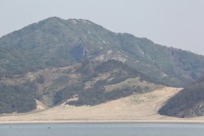 성촌해변 모래언덕 18