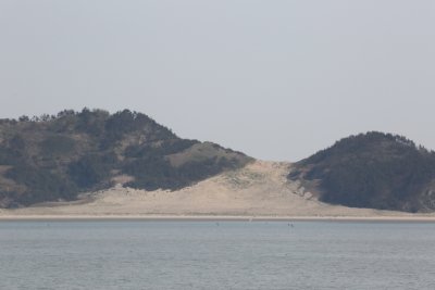 성촌해변 모래언덕 19