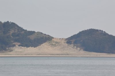 성촌해변 모래언덕 20