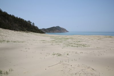 성촌해변 14