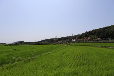 소현마을 11