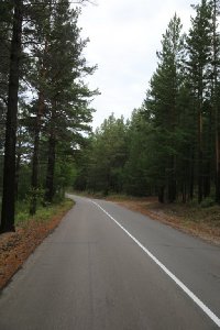 말라코프카 이스토치니크 자연공원 도로 12