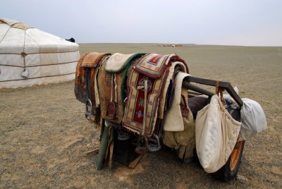 Mongolian Camel 04