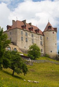Gruyere Castle 16