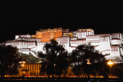 Potala Palace at night 06