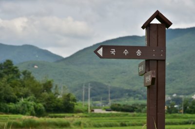 석남 송석하 국수송 12
