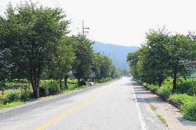 용정마을 국도18 도로 16