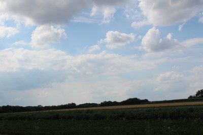 Auvers-Sur-Oise wheat field 02