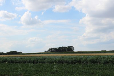 Auvers-Sur-Oise wheat field 03