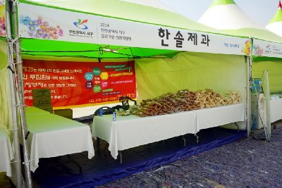 인천 드림파크 국화축제 중소기업 박람회 16