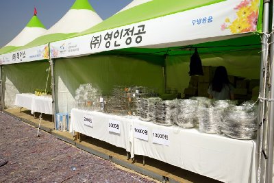 인천 드림파크 국화축제 중소기업 박람회 12