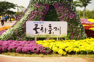 인천 드림파크 국화축제 16