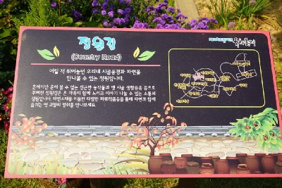 인천 드림파크 국화축제 15