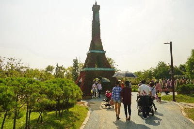인천 드림파크 국화축제 19