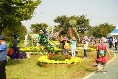 인천 드림파크 국화축제 17