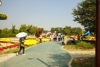 인천 드림파크 국화축제 14