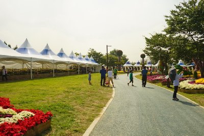 인천 드림파크 국화축제 18