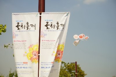 인천 드림파크 국화축제 13