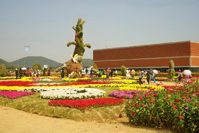 인천 드림파크 국화축제 08