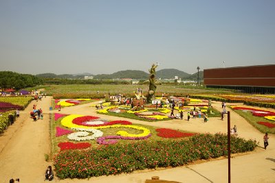 인천 드림파크 국화축제 09