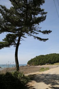 태안 태배길 화영섬 해변 구간 19