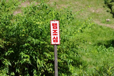 강원산소길 홍천수타사생태숲길 코스 - 산림치유쉼터 19