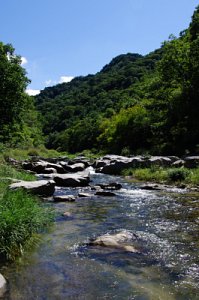 강원산소길 홍천수타사생태숲길 코스 - 수타사계곡 19