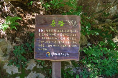 강원산소길 홍천수타사생태숲길 코스 - 용소 18