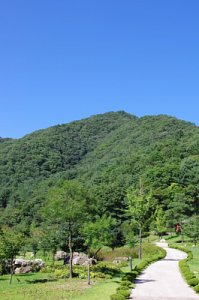강원산소길 홍천수타사생태숲길 코스 - 공작산생태숲 산책로 20